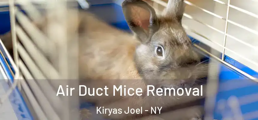 Air Duct Mice Removal Kiryas Joel - NY