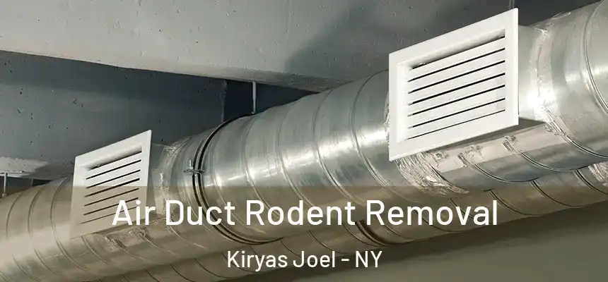 Air Duct Rodent Removal Kiryas Joel - NY