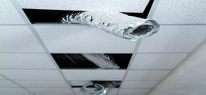 Affordable HVAC Sanitizing After Pest Removal in Kiryas Joel