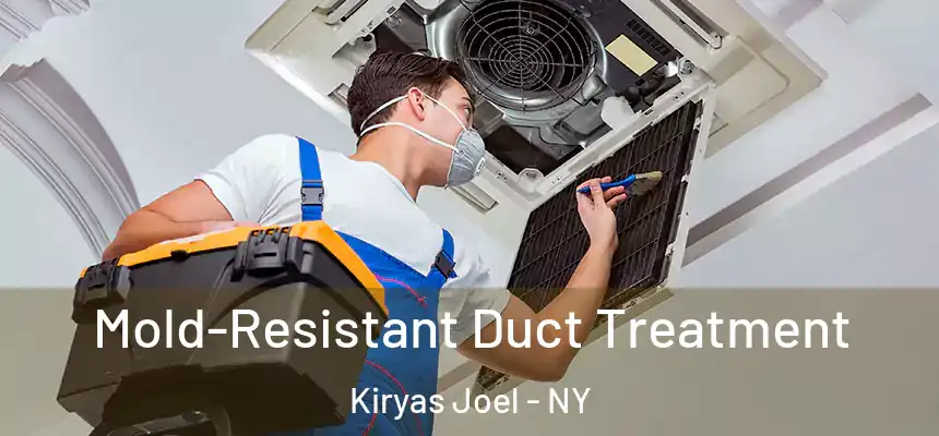  Mold-Resistant Duct Treatment Kiryas Joel - NY