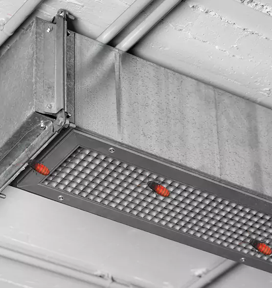 Affordable Insect Removal from Air Ducts in Kiryas Joel, NY